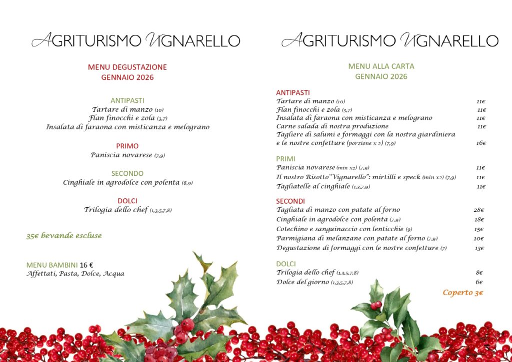 Questa immagine ha l'attributo alt vuoto; il nome del file è menu_gennaio2025OK_page-0001-1024x725.jpg